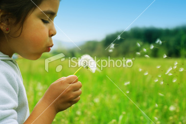 istockphoto_1921014-wishes_0