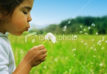 istockphoto_1921014-wishes_2